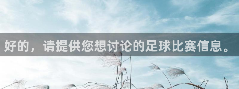  好的，请提供您想讨论的足球比赛信息。