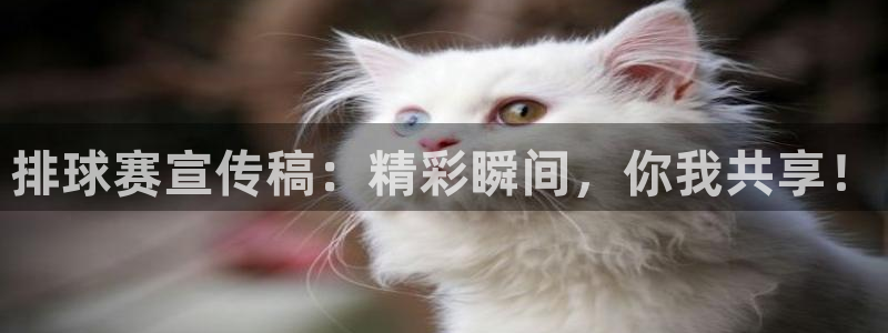 排球赛宣传稿：精彩瞬间，你我共享！
