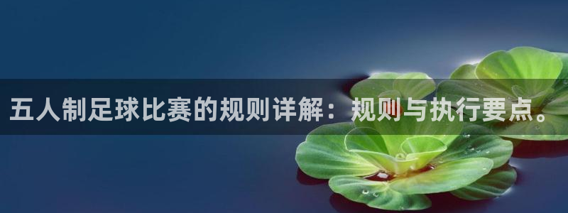  五人制足球比赛的规则详解：规则与执行要点。