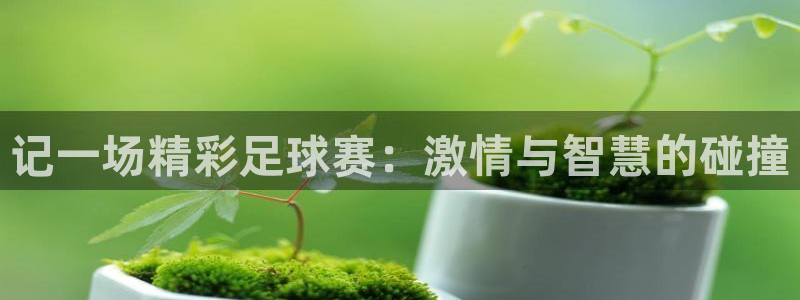  记一场精彩足球赛：激情与智慧的碰撞