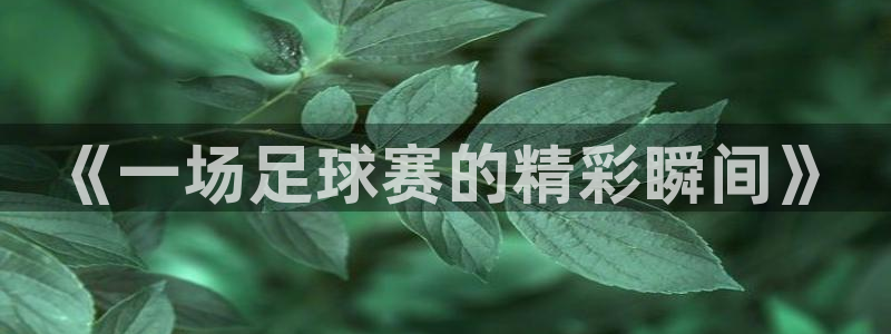  《一场足球赛的精彩瞬间》