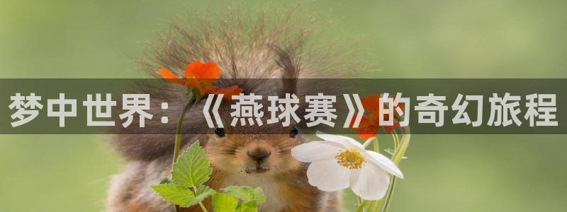  梦中世界：《燕球赛》的奇幻旅程