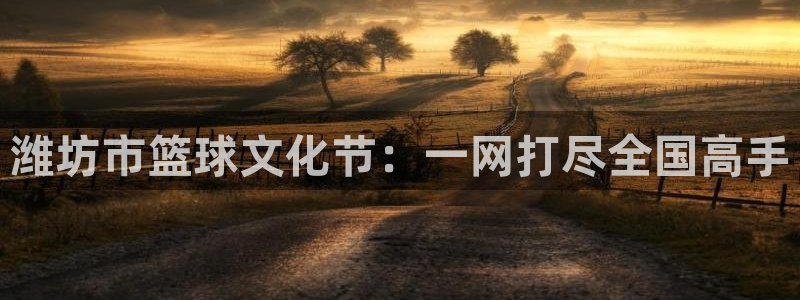  潍坊市篮球文化节：一网打尽全国高手