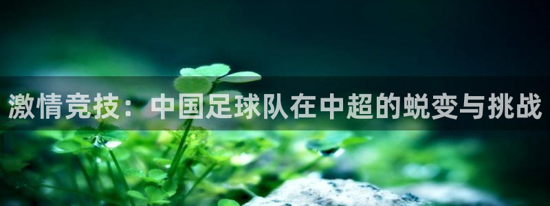  激情竞技：中国足球队在中超的蜕变与挑战