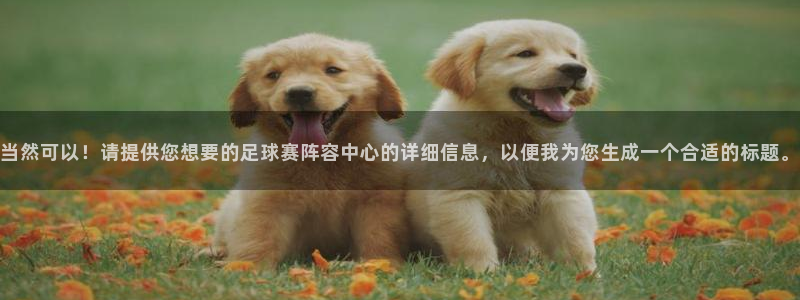  米兰体育网站：当然可以！请提供您想要的足球赛阵容中心的详细信