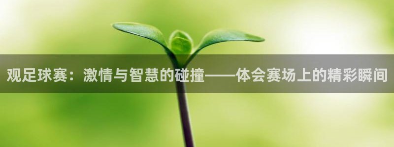  米兰体育经常封号怎么办：观足球赛：激情与智慧的碰撞——体会赛