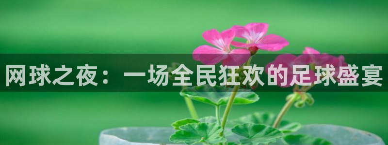  米兰体育最新：网球之夜：一场全民狂欢的足球盛宴