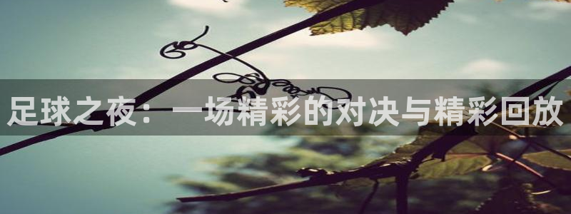  米兰体育中心哈希游戏：足球之夜：一场精彩的对决与精彩回放