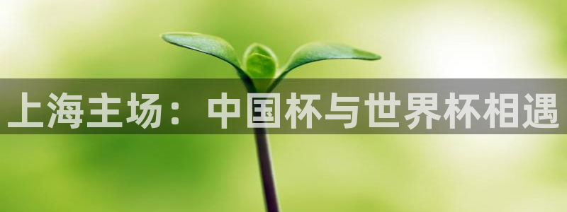  米兰体育场：上海主场：中国杯与世界杯相遇